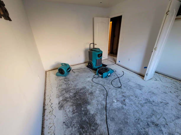 Best Professional water damage repair  in Leith Hatfield, PA