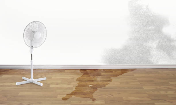 Best Fire Damage Restoration  in Leith Hatfield, PA