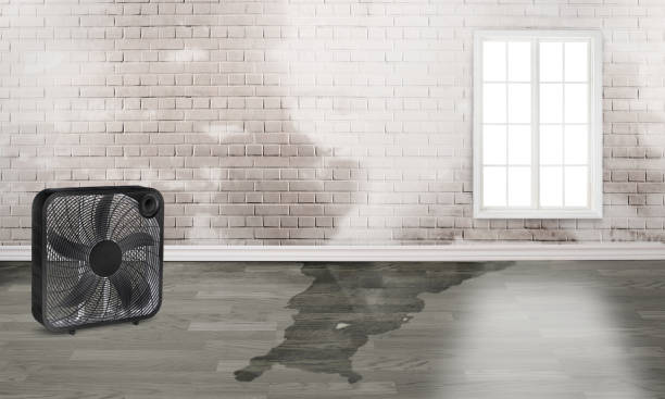 Best Fire Damage Restoration  in Leith Hatfield, PA