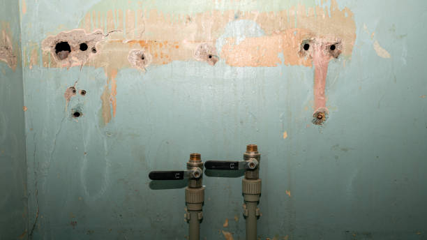 Best Water damage contractors near me  in Leith Hatfield, PA